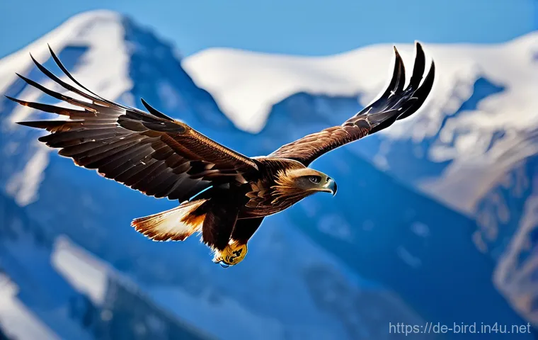 독수리와 콘도르의 차이 - **Prompt 1: Majestic Golden Eagle in Mountain Flight**
    "A majestic Golden Eagle, with its powerf...
