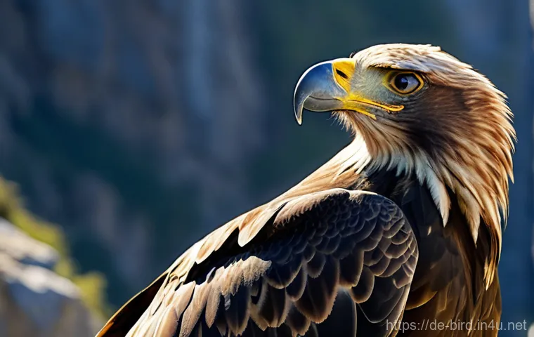 독수리와 콘도르의 차이 - **Prompt 2: Andean Condor Gliding over Valleys**
    "An enormous Andean Condor in mid-flight, maste...